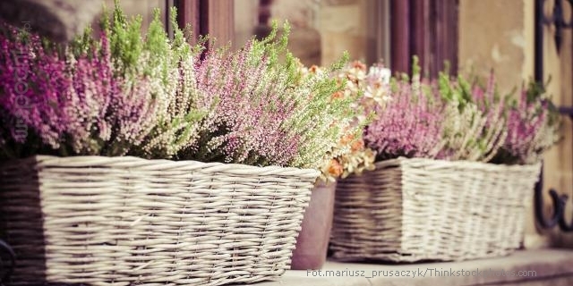 w-spodnicy.ofeminin.pl