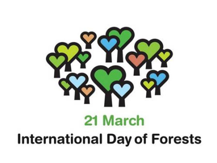 21 marca Światowy Dzień Lasu