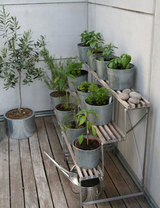 http://www.shelterness.com