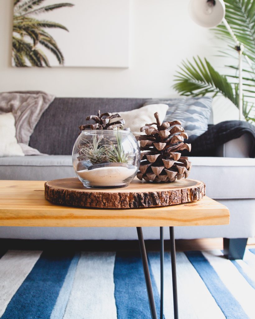 Stół z drewnianym blatem, naturalne dekoracje i żywe rośliny - nowoczesny wystrój w stylu eko