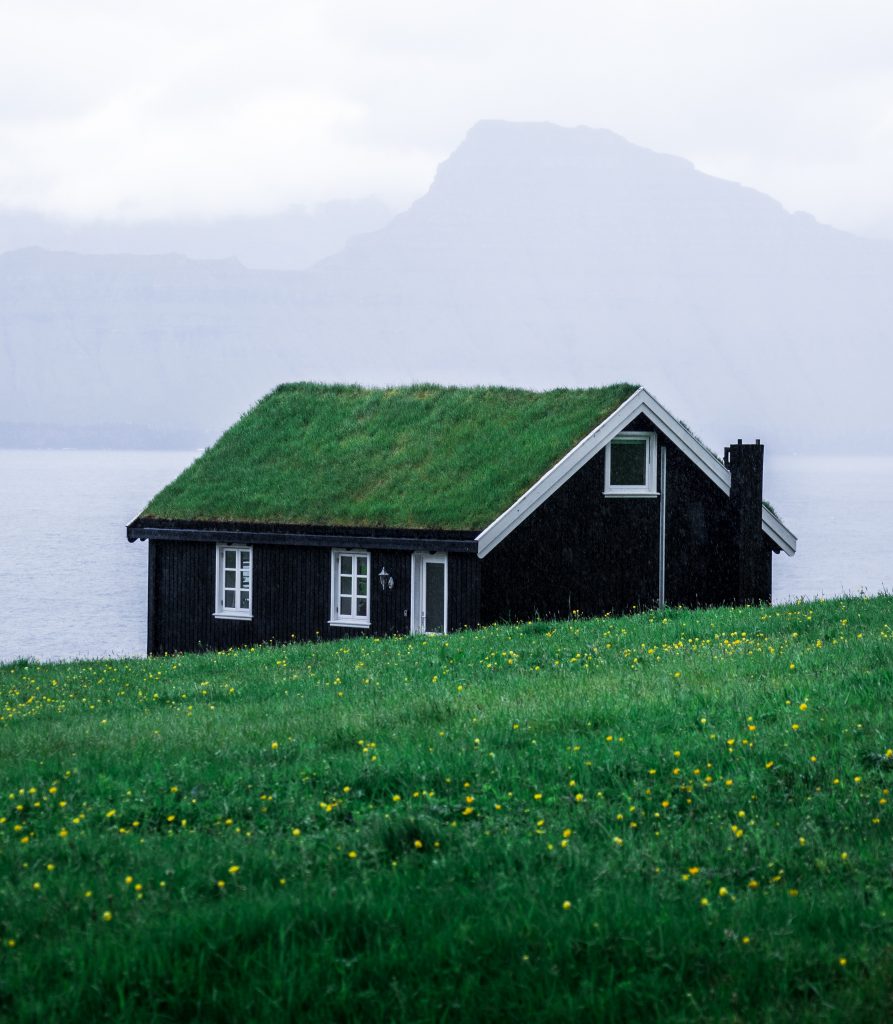 Mieszkanie ekologiczne - dom z trawiastym dachem