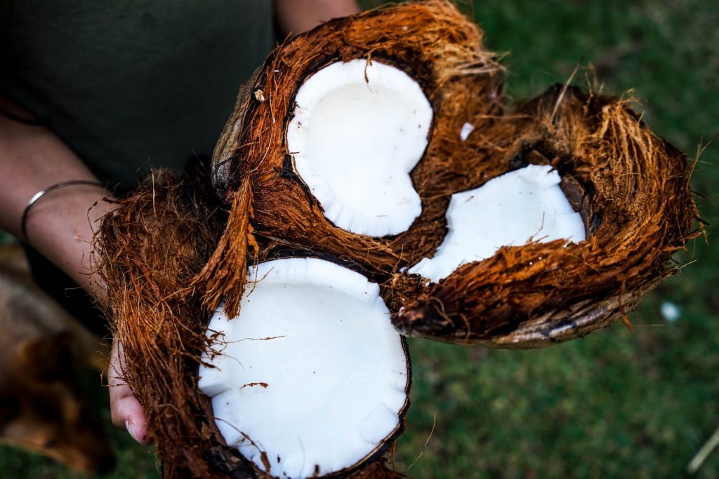 Kokosy i włókno kokosowe
